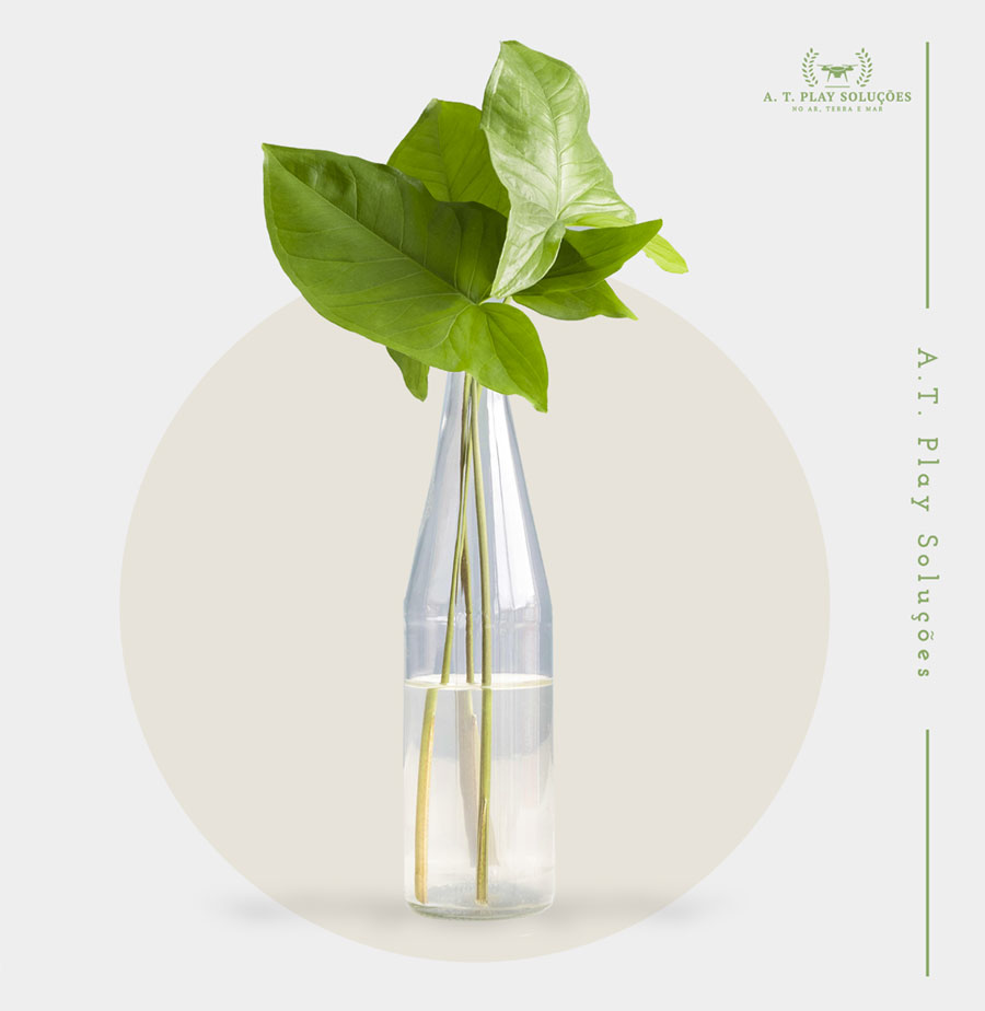 Análise de Safras e Rendimento Análise de Safras e Rendimento