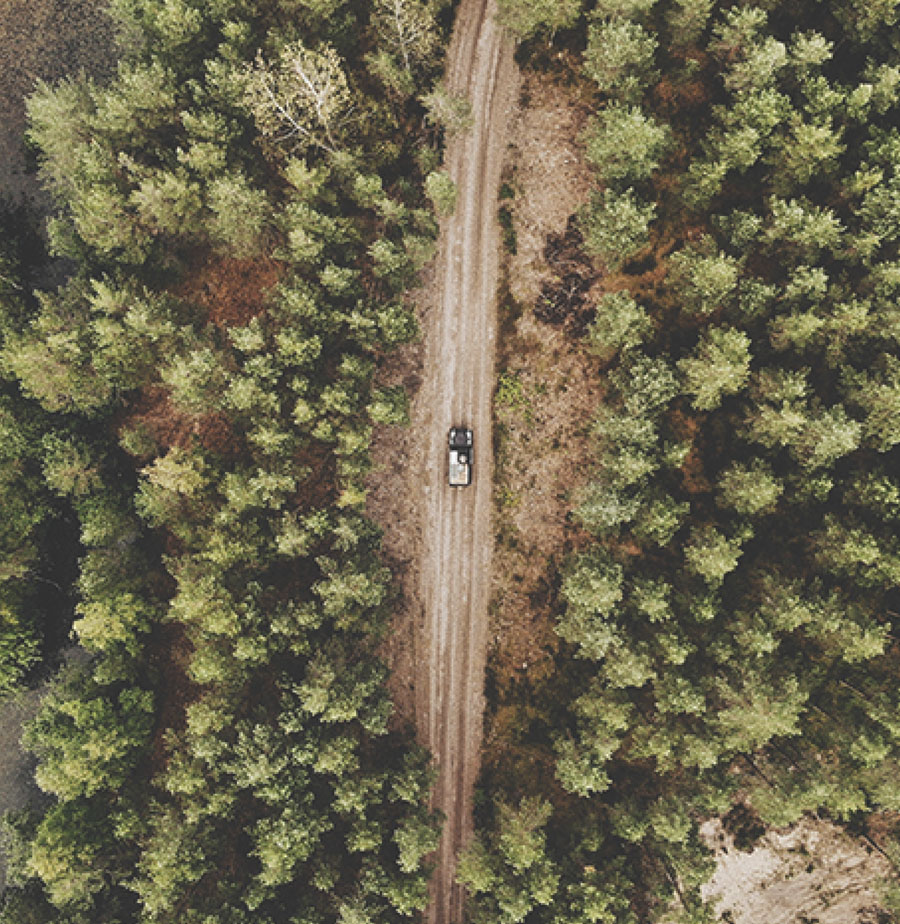 monitoramento monitoramento