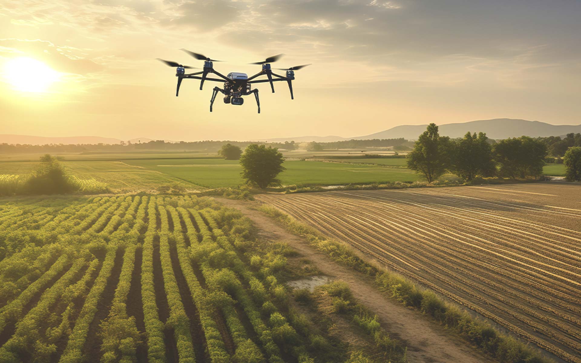 serviço de drone na agricultura
